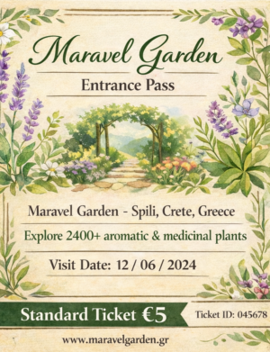 Standard Ticket 5€